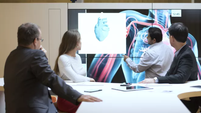 Scientists discussing metabolic conditions with the help of a visualization of human anatomy